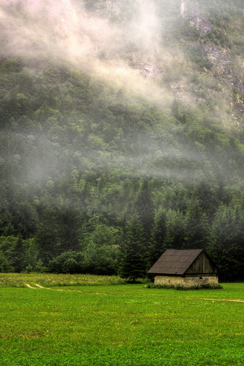 l0stship:Croazia - Nebbia / source - by Alessandro Ornelli