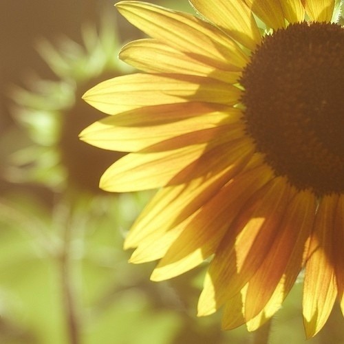 Tumblr en We Heart It. http://weheartit.com/entry/74201377/via/luligm