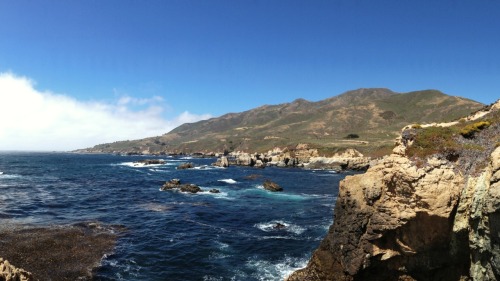 Rode the Pacific Highway from Ventura up to San Fran after staying the night with my best bud&rs