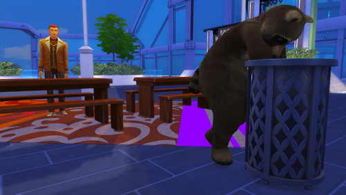 Roaming Around San Myshuno At Night And Stumbled Across This. I DIED.