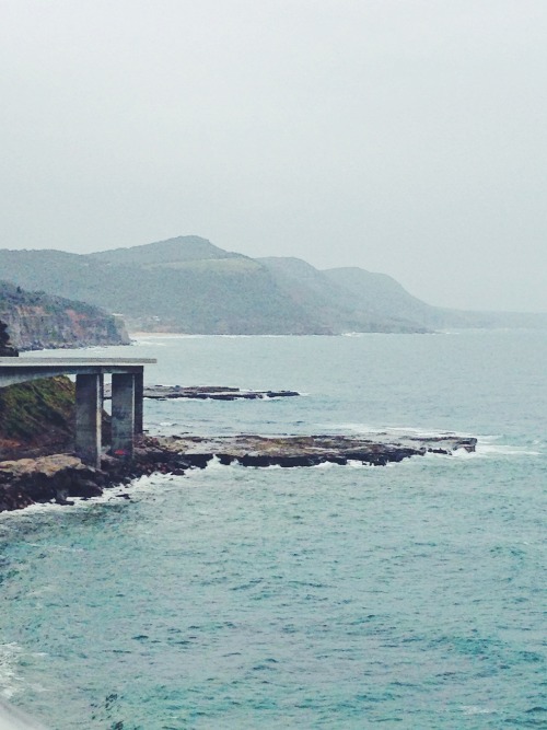 alydae:Sea Cliff Bridge, New South Wales, Australia - 25/1/17