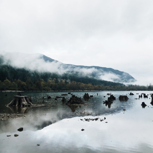 danielodowd:  averycrisjack97