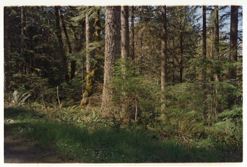 seanklingelhoefer:On set for ToyotaMolalla, OR 2019.Nikon 35ti | Kodak Gold 200