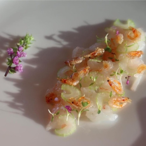 Shrimp ceviche, celery, shizo flower.. #photography #eat #chef #chefsofinstagram #food #foodie #food