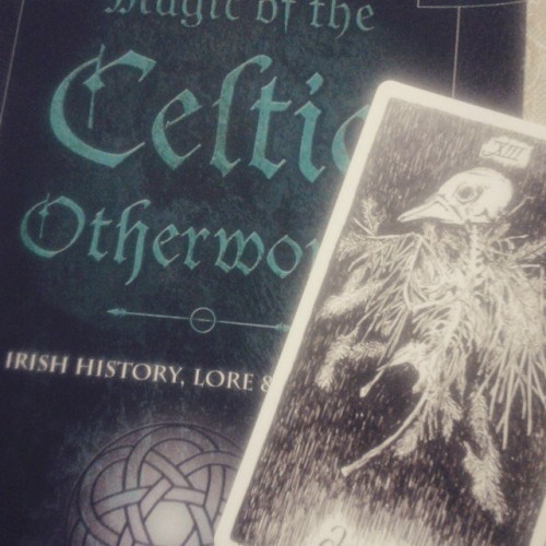#magic #celtic #otherwolds #book #thewildunknowntarots #picoftheday #card #tarotcards #pagan