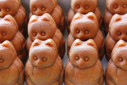 catycat21: yamada-ya by L.S.P. tokyo on Flickr. Tanuki manju cakes ?