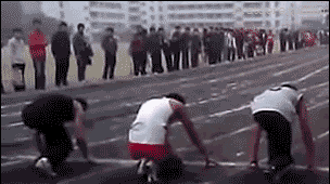https://69.media.tumblr.com/1a07a2cadf561a63ef3f39e3b99bdabb/tumblr_n7n2dihf5y1r1vx3po1_400.gif