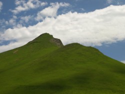 Uozi