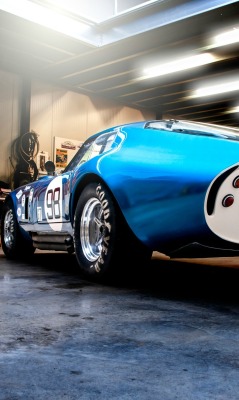 h-o-t-cars:Shelby Daytona