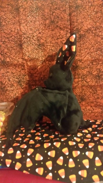 allyclaw:  Happy Halloween!!!!!!!  This little bat is made from minky and and cotton print fabric with cute candy corns! 8inches tall and a wing span of 15 inches with doll safety eyes!  She is indeed for SALE if anyone is interested send a note!! ์usd