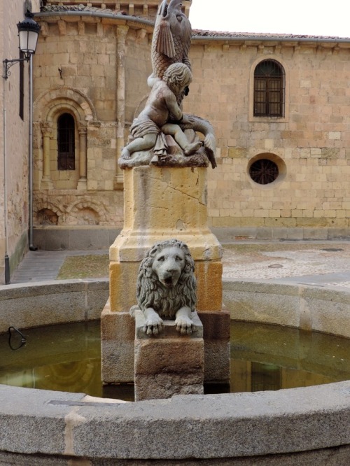 Fuente seca con pescado, niño y león, Segovia, 2016.