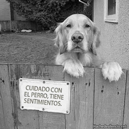I see humans, but no humanity