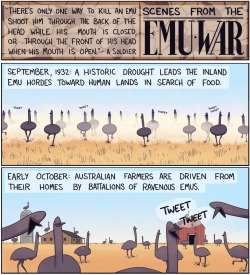 alv529: corvus-onca-sapien:  dat-soldier:  shadowmaat:  enrique262:  The disastrous Australian Emu War.  Someone turned it into a comic. YES.   never forget the emu war  @sin-cordura   My favourite part of this entire post is the final pic listing the