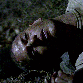 tumblr_p6iyxpxsSi1vwdsmbo1_r1_400.gif
