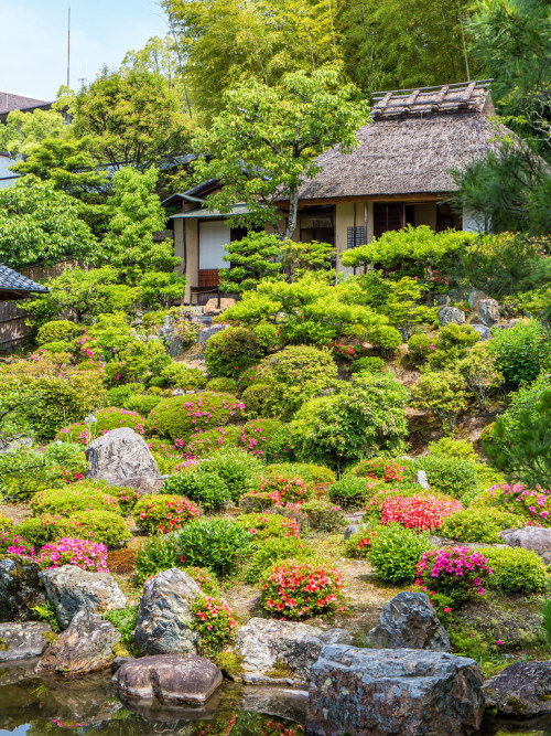 皐月 - 等持院 ／ Touji-in Temple by Active-U I want to introduce to the world, Kyoto views of Japan. https