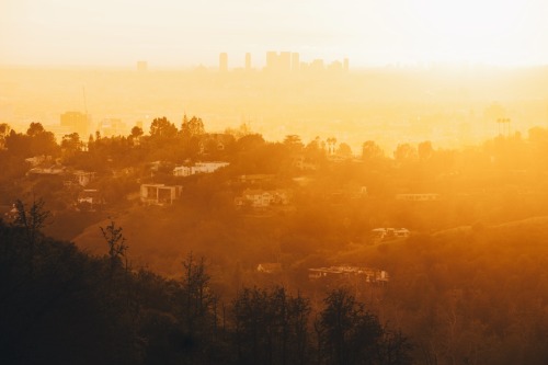 Hollywood Hills