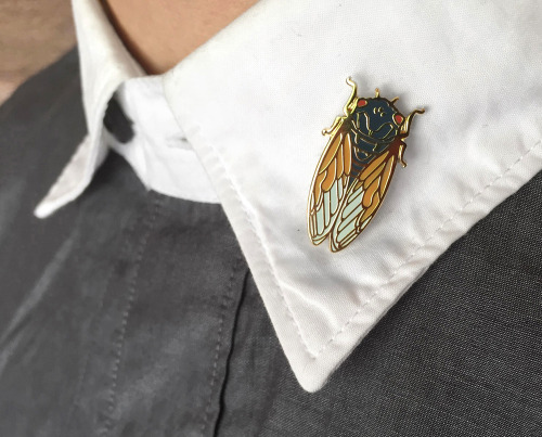 rockatransky: thebowerstudio: Our new cicada pins are online! We are limiting the run of this design