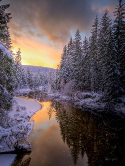Photo by by Ron Gile, public domain. #winter#snow#river