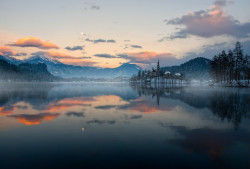 Woodendreams:  Lake Bled, Slovenia By Aleš Komovec