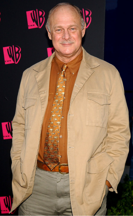 nicedaddy:Gerald McRaney