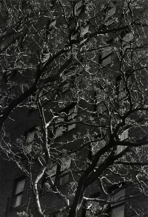 Ray K. Metzker（American, b.1931）
My Philadelphia