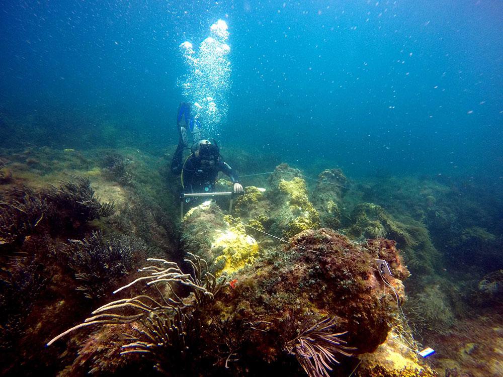 Ancient Sunken Warship, Steamboat and Lighthouse Discovered off Coast of Mexico