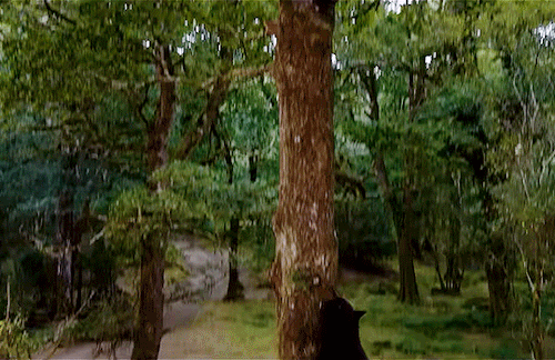 A Bear Did Cocaine!COCAINE BEAR (2023) Dir. Elizabeth Banks