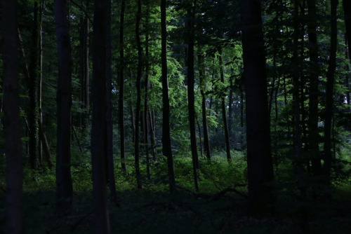 90377:No edit - straight out of the camera.Instagram | Etsy Shop