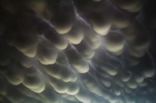 awkwardsituationist:  mammatus clouds, named for their resemblance to the mammary gland, form when air laden with big water droplets is carried to the top of a thunderstorm cloud whose altitude is cold enough to freeze the water droplets. the resulting