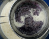 The making of MilkMade flavor #116. Witches’ Brew
a blend of witch finger grape ice cream and fresh peanut butter
Step 2.
“Eye of newt, and toe of frog,
Wool of bat, and tongue of dog,
Adder’s fork, and blind-worm’s sting,
Lizard’s leg, and howlet’s...