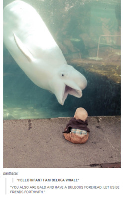itsstuckyinmyhead:  Whales and Tumblr 