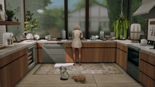 Yumes Kitchen, In Four Parts.