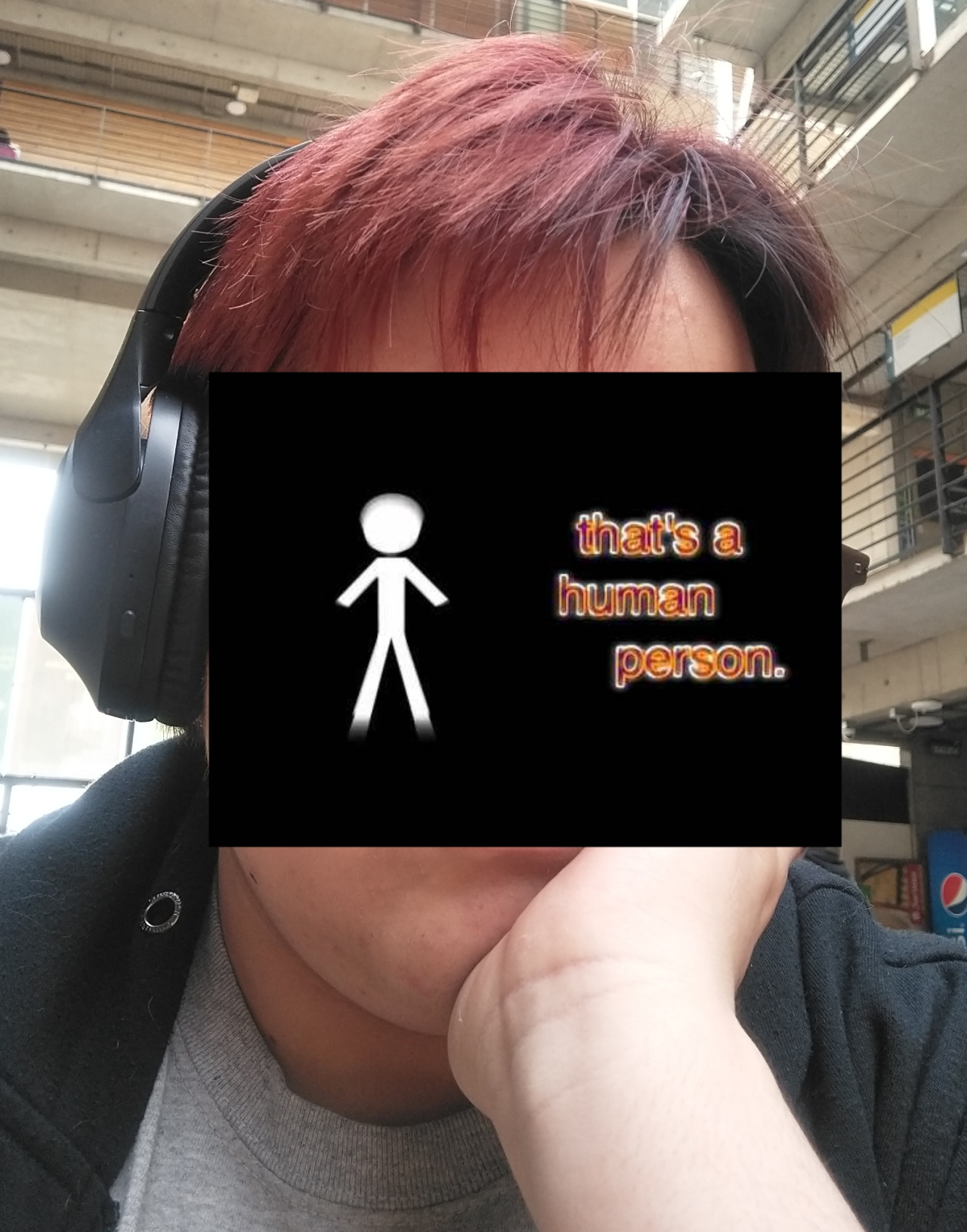 Picture of the webmaster. Their face has been hidden with a picture; it's a black screen with a white stick figure. Besides the figure there's text that reads 'that's a human person'. The webmaster's hair loosk red in the picture, and they're wearing black headphones
