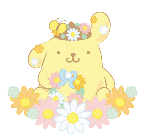 Sanrio Characters Flower 2022