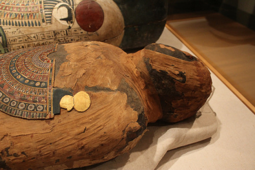 ancient-egypts-secrets: Coffin and Mummy of Nesmin Egyptian, Ptolemaic Period The coffin and mummy b
