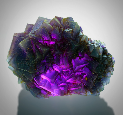 bijoux-et-mineraux:Fluorite - Weisseck, Lungau, Salzburg, Austria