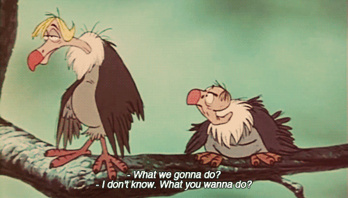 RP Plotting With New Partners: 