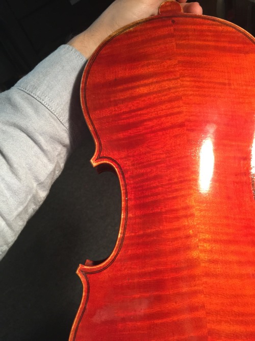 A better picture of the back varnish on my last violin.