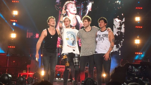 zouisos:  madison square garden