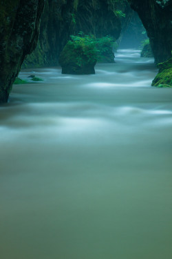 woodendreams:  (by Takafumi Hiyama)   //