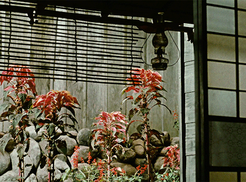 hayaomiyazaki:FLOATING WEEDS (1959)浮草 dir. Yasujirō Ozu