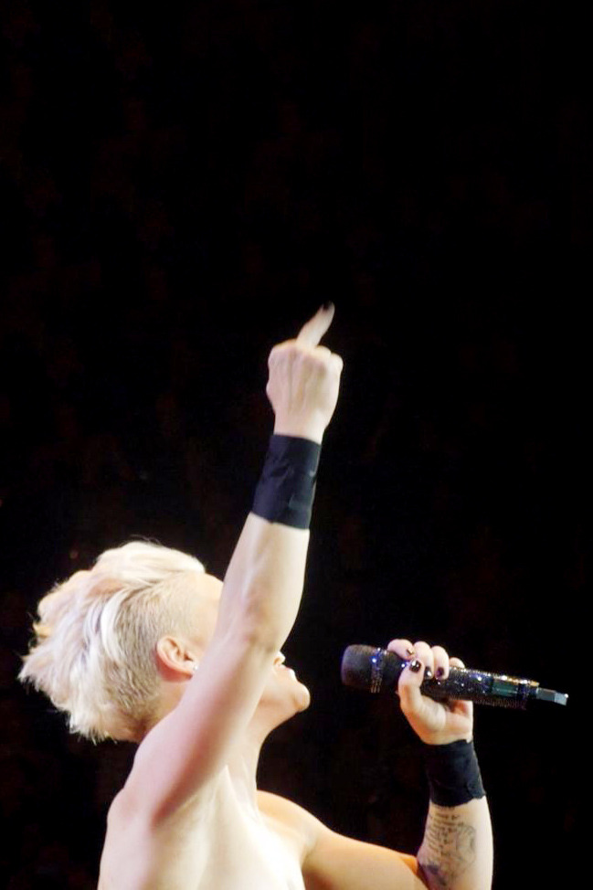 z-arb:  P!nk    P!nk: my fem crush!