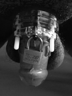 chastityrocks:  711-197-164:  After 10 long days, I’m finally locked back up.  Thank you Master.  My record was 50 days in the cage, means I should probably not hope for release before October 20th.  On a related topic, we’re planning on eventually