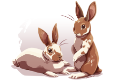 alienfirst:  A couple brother buns for a