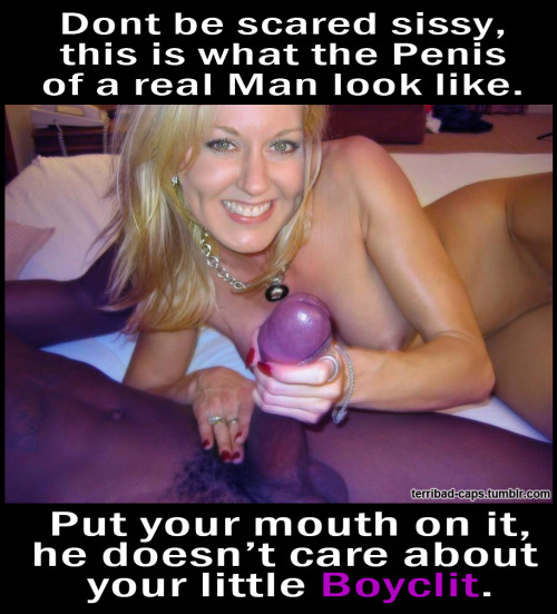 http://cucky-cuck.tumblr.com/post/63005202317