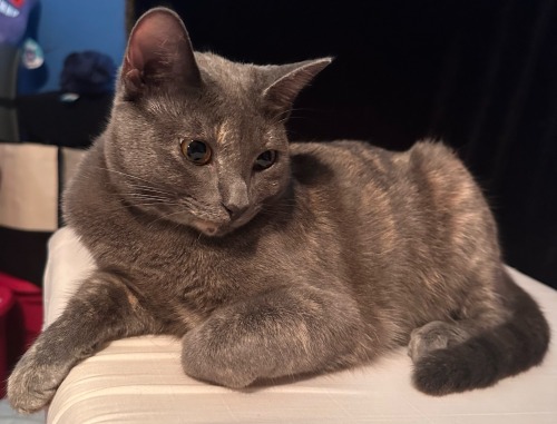 My Mother Absolutely LOVES These Pictures I Took Of Cleopatra, And Feels Like I Should Show Them To The