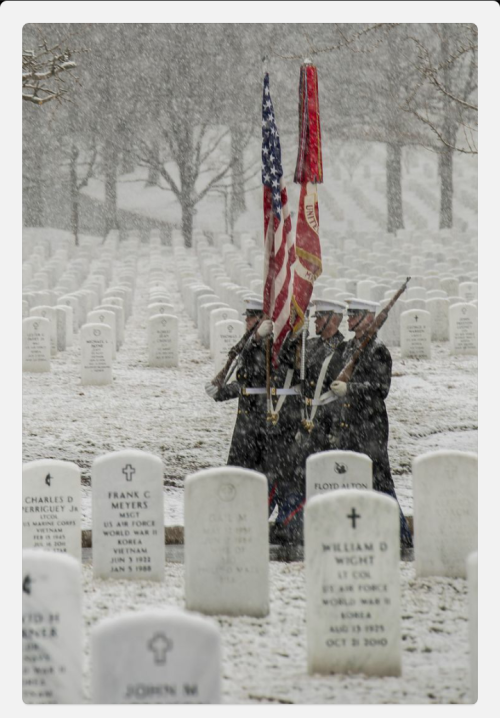 trucksandmudd:  goosedawg:  zerolaw97:  Marine Color Guard at Arlington National Cemetery  Much Resp