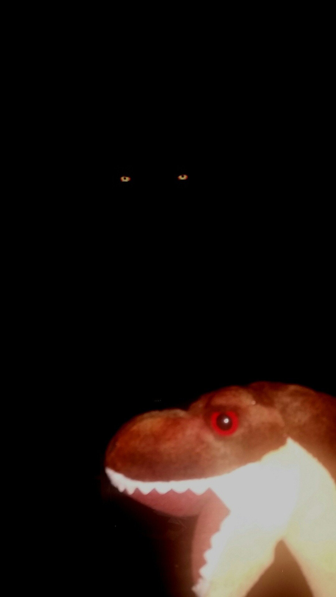 extremelycursedimages:  Is this image I found in my camera roll after camping while