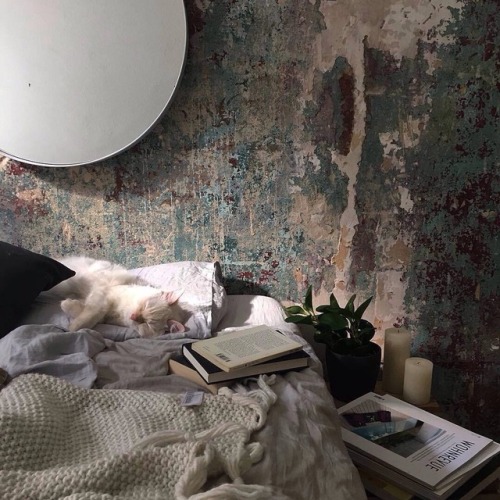 catasticgirls:International Cat DayInternational Cat Day is a celebration which takes place on 8 Aug