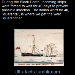 ultrafacts:  SourceFollow Ultrafacts for more facts